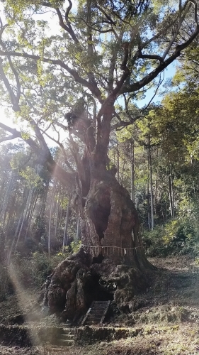 武雄神社から伊王島へ_d0195183_23003796.jpg