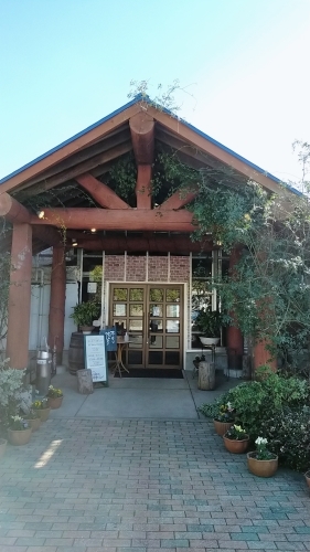武雄神社から伊王島へ_d0195183_23015365.jpg