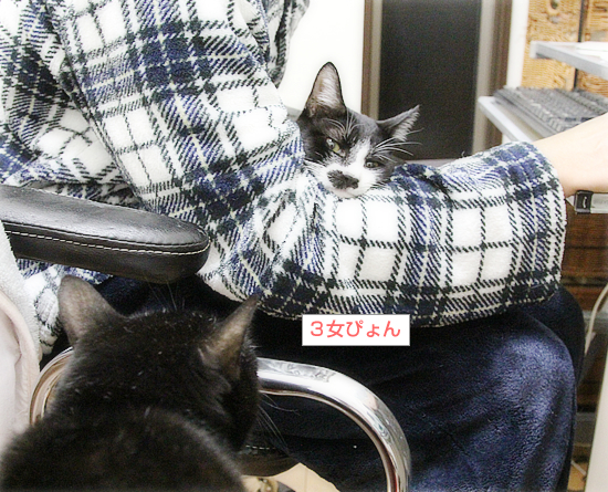 ロックオン_a0389088_11014191.jpg