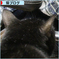 ロックオン_a0389088_11014207.jpg