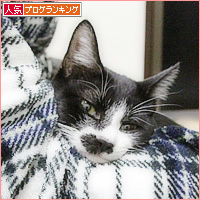 ロックオン_a0389088_11014245.jpg