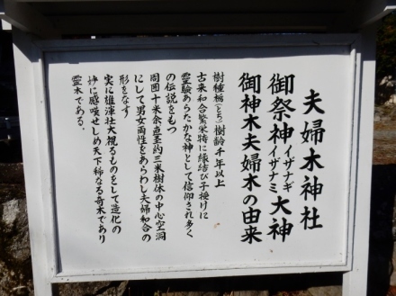 夫婦木神社　夫婦和合子孫繫栄の神社　甲府市御岳町_e0342205_01273598.jpg