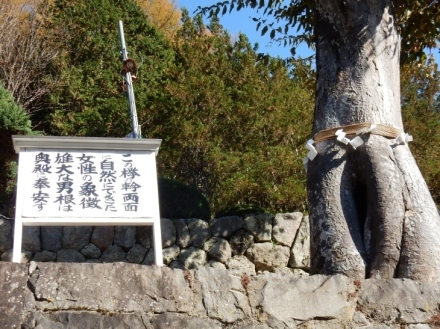 夫婦木神社　夫婦和合子孫繫栄の神社　甲府市御岳町_e0342205_01284507.jpg