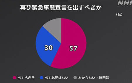 緊急事態宣言の政局へ - GoToトラベルは誰が利用していたのか_c0315619_15263176.png