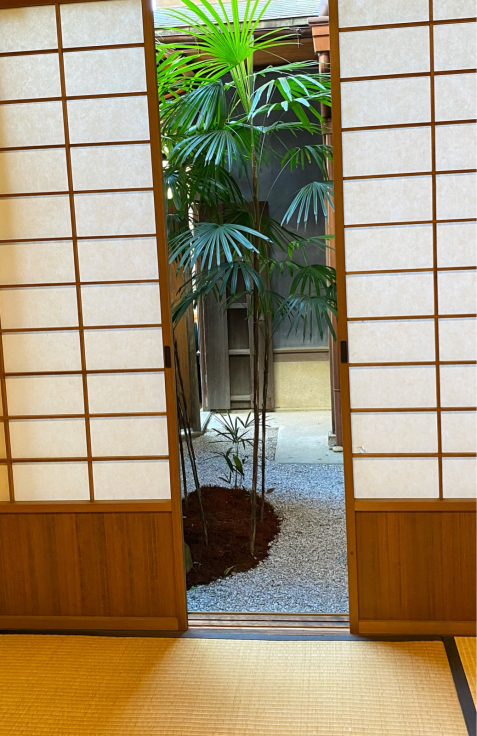 旧三井家下鴨別邸の坪庭_b0063958_19143858.jpg