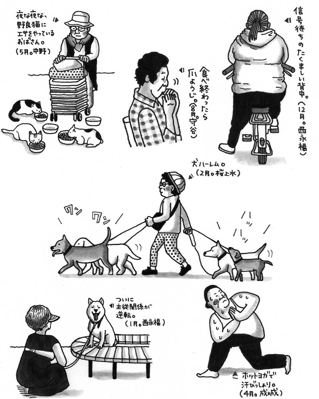 イラストレイテッド 日本のおばさん バジリコ出版 New Nonsense