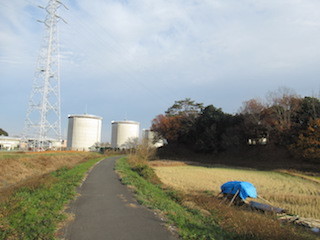 師走の高坂動物園ポタ　３_d0389166_22590576.jpg