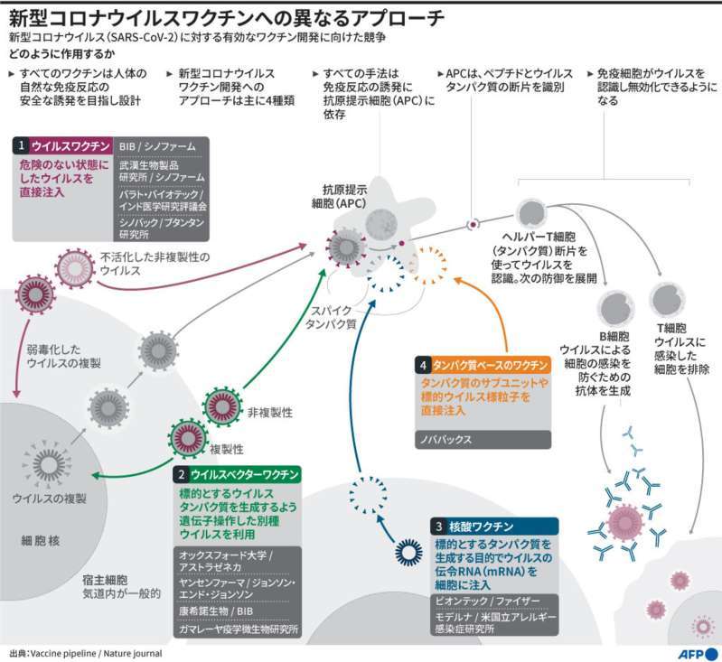 ４種のコロナワクチン_a0117168_16274519.jpeg