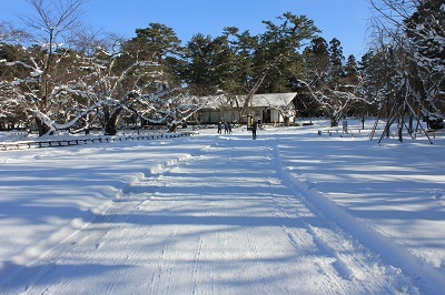 弘前公園冬さんぽ_2020.12.18撮影_d0131668_13060338.jpg