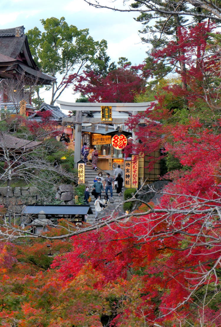 秋の京都 バスツーリング３ 清水寺_a0388583_00002921.jpg