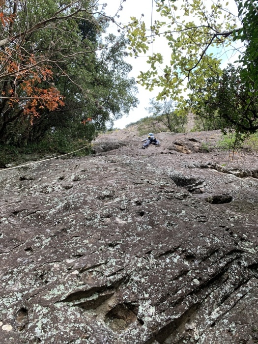 湯河原、城山、城ヶ崎_d0138986_15281345.jpeg