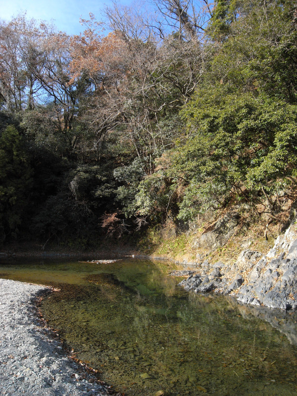 何時もの”散歩道”・・・_b0363921_18052755.jpg