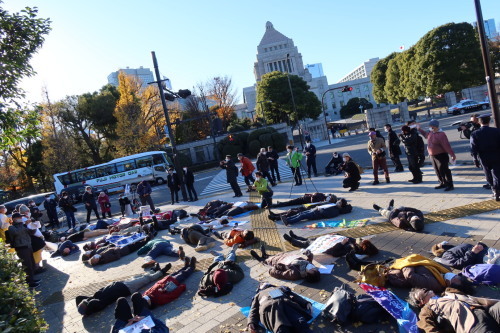 「殺すな!STOP敵基地攻撃能力 12.17国会正門前ダイ・イン」に寄せられたメッセージ_a0336146_23513343.jpg