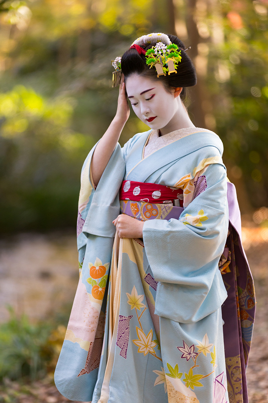 専用ページ芸妓 日本髪 前刺し こうがい 後刺し 別注羽二重 舞妓 手ぬぐい8点 芸妓 日本髪かつら 前刺し こうがい 後刺し 別注羽二重 舞妓