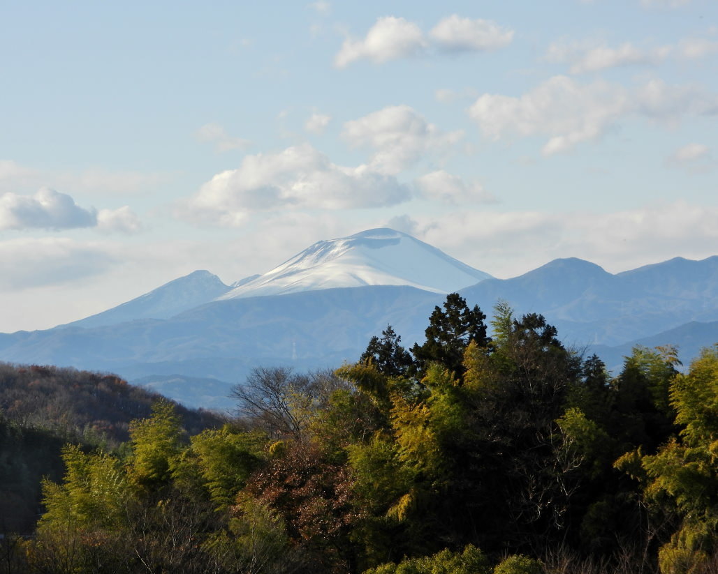 青い実 紅い実 白い山 ほか_c0305565_17242247.jpg