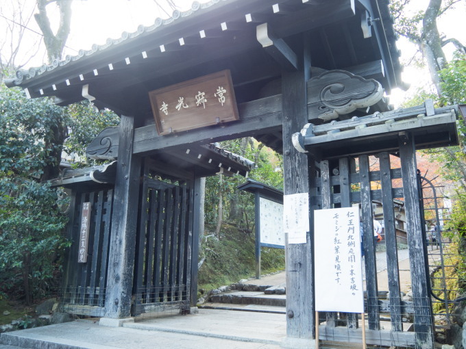 2020秋の京都&沖縄離島めぐりの旅vol.2～紅葉の嵯峨野と京懐石～_f0276498_20421131.jpg