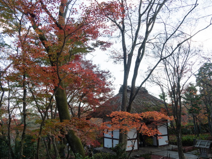 2020秋の京都&沖縄離島めぐりの旅vol.2～紅葉の嵯峨野と京懐石～_f0276498_20423639.jpg