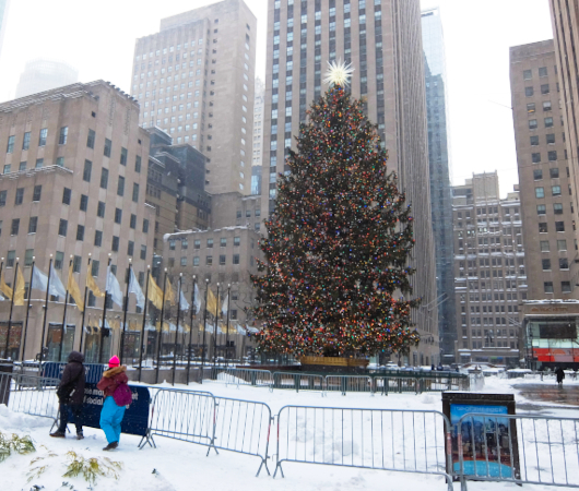 大雪のNY、ロックフェラーセンターのクリスマスツリー 2020_b0007805_07504603.jpg