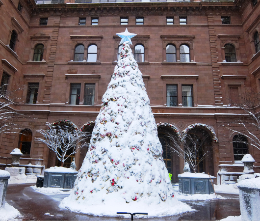 雪の積もったロッテ・ニューヨーク・パレスのクリスマス・ツリー_b0007805_21512146.jpg