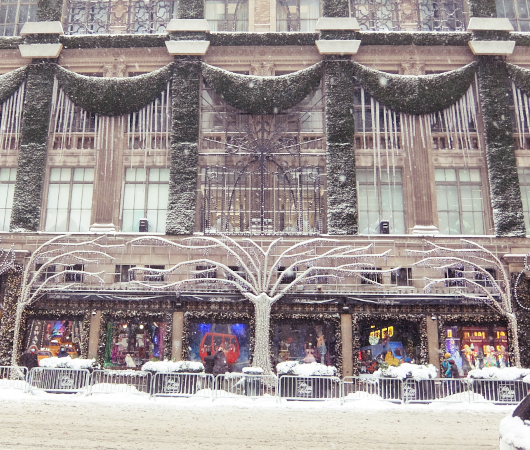雪の積もったロッテ・ニューヨーク・パレスのクリスマス・ツリー_b0007805_21515437.jpg