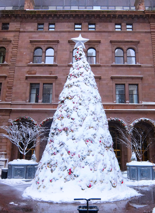 雪の積もったロッテ・ニューヨーク・パレスのクリスマス・ツリー_b0007805_21523235.jpg