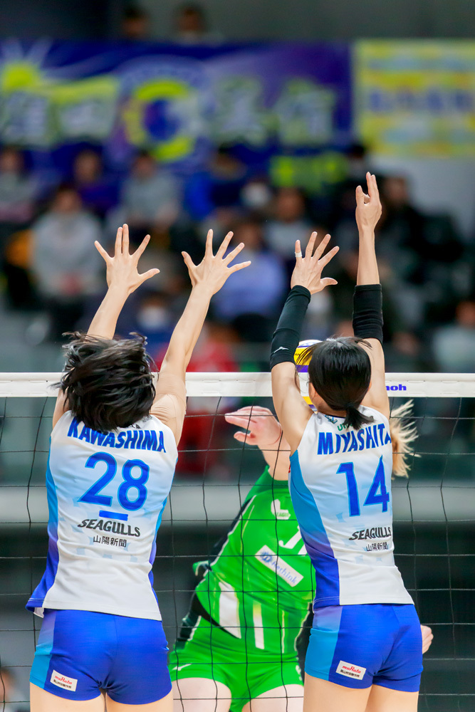 宮下遥 岡山シーガルズ Tatsuya Uehara Photo Blog S 宮下遥 岡山シーガルズ Tatsuya Uehara Photo Blog S