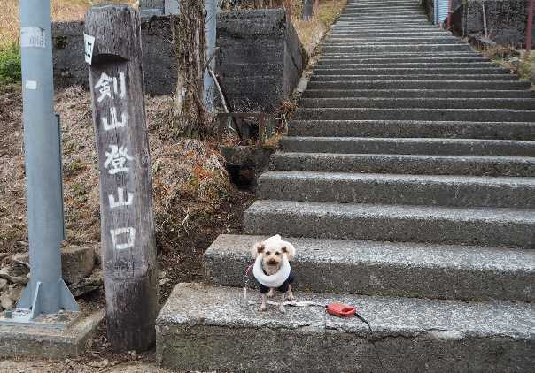 2020年12月12日　剣山登山_a0133211_21495022.jpg