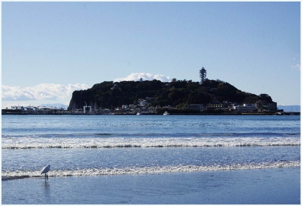 海辺の白鷺_c0352813_09460255.jpg