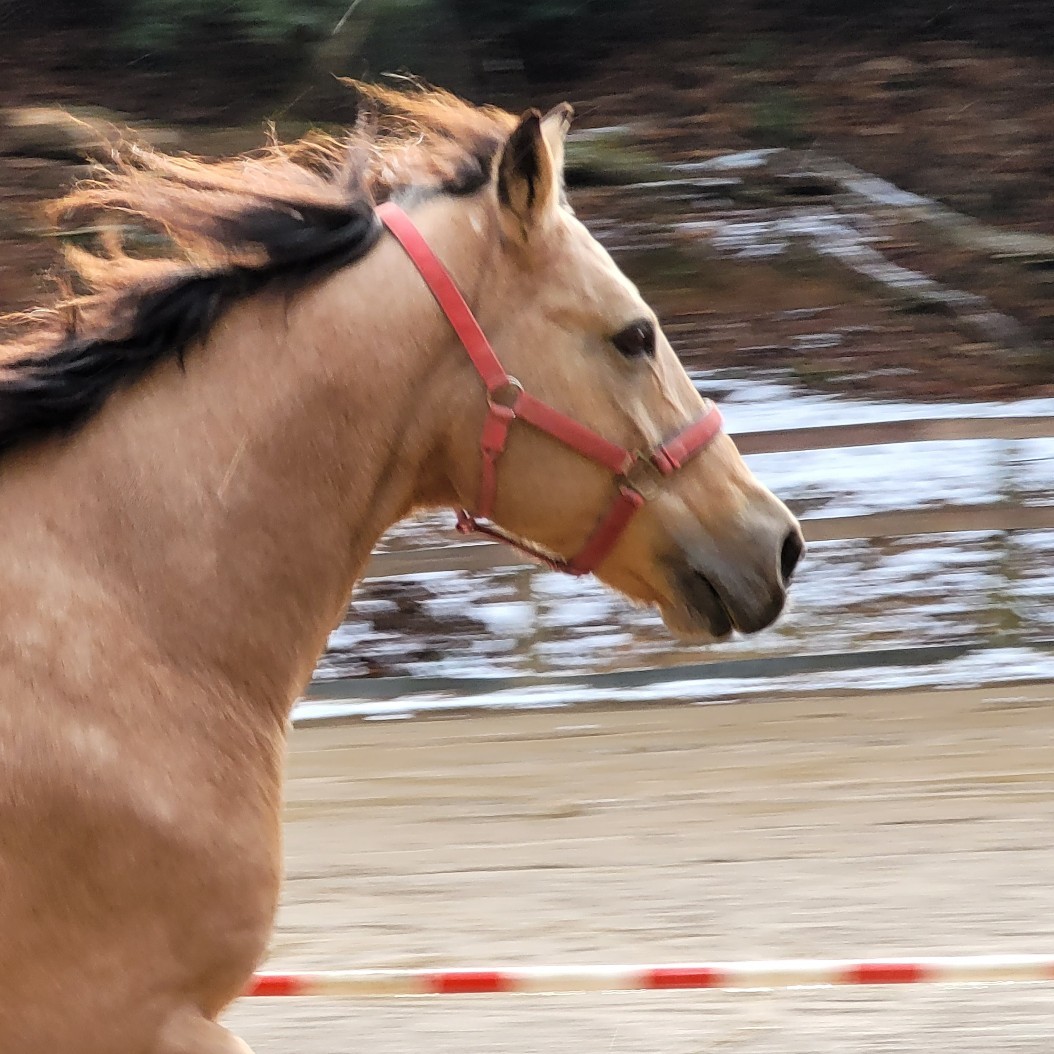 ミッキーの朝運動_e0145441_23515557.jpg