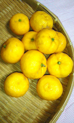 今日は冬至!_b0145843_21334485.jpg
