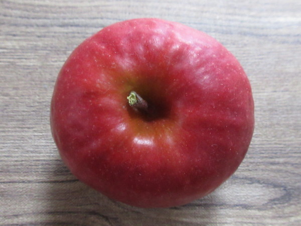 ピンクレディー(Pink Lady)_c0152767_18101035.jpg
