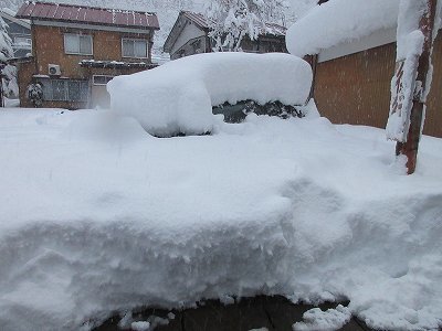 「大雪情報」　初雪が大雪に　　雨トヨ　　雪下し_b0092684_16563166.jpg