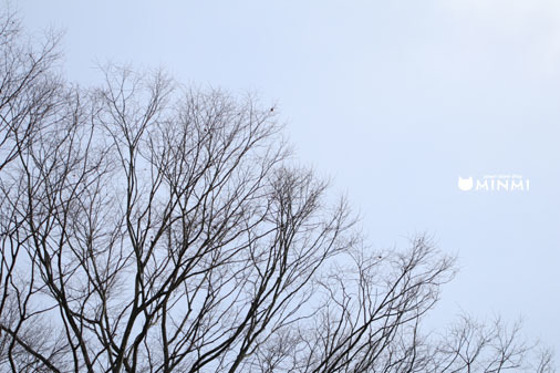 今日も寒いですね(*^▽^*)_c0140599_11550150.jpg