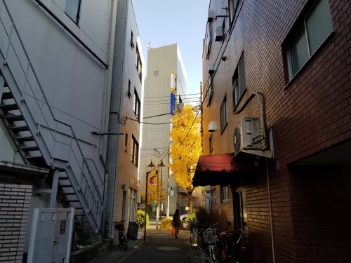アメリカの堕落に吉田茂と岸信介はどう対処したか 「アメリカの世紀と日本」 _e0016828_09422989.jpg