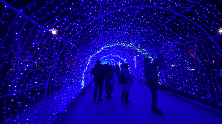 神戸メリケンパークのイルミネーション_b0063958_20385171.jpg