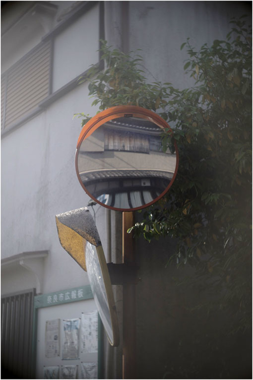 872.02 (2020年5月14日パンタッカー50mmF2.3奈良白毫寺町でロボグラフィ賛歌)2 歴史の転倒_c0168172_00575155.jpg