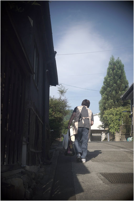 872.02 (2020年5月14日パンタッカー50mmF2.3奈良白毫寺町でロボグラフィ賛歌)2 歴史の転倒_c0168172_01020729.jpg