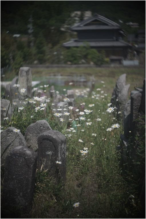 872.02 (2020年5月14日パンタッカー50mmF2.3奈良白毫寺町でロボグラフィ賛歌)2 歴史の転倒_c0168172_01062504.jpg