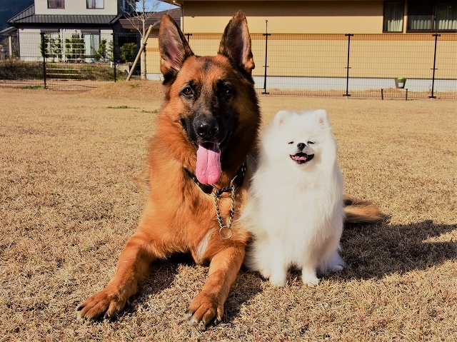 わたしの宝物たち_d0360206_00063083.jpg