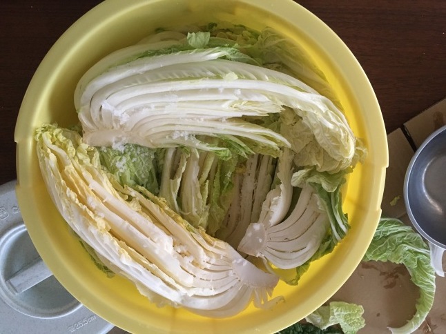 ぬか床の冬眠と白菜漬け_d0348118_08115889.jpeg