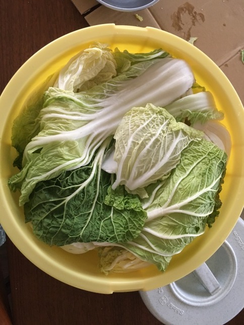 ぬか床の冬眠と白菜漬け_d0348118_08121177.jpeg