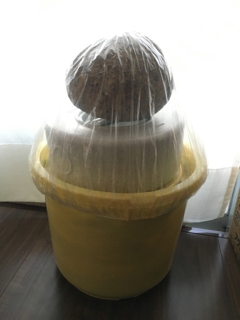 ぬか床の冬眠と白菜漬け_d0348118_08122984.jpeg