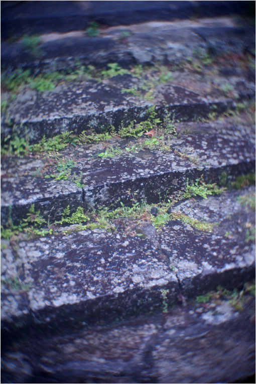 2206 幻惑(2020年5月16日スピードアナスティグマート25mmF1.5高畑町には慣れたものと嘯き)_b0226423_22534816.jpg