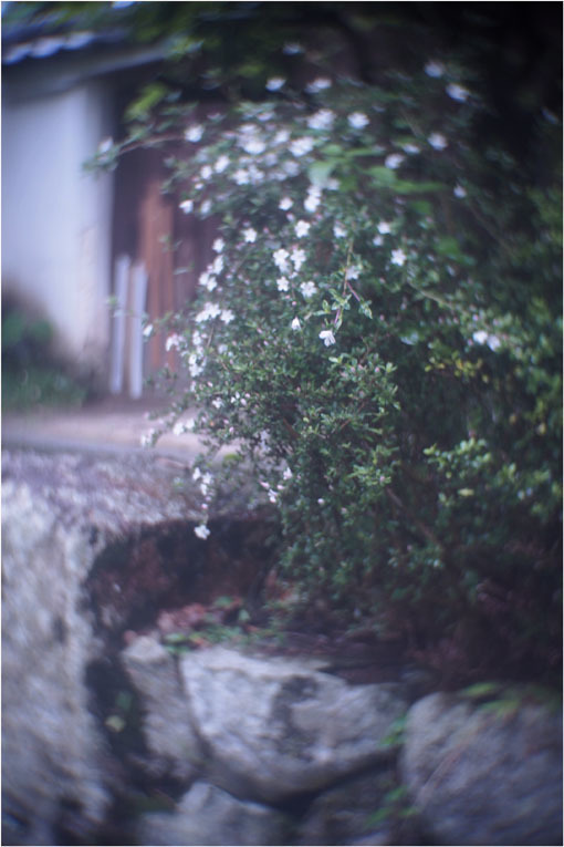 2206 幻惑(2020年5月16日スピードアナスティグマート25mmF1.5高畑町には慣れたものと嘯き)_b0226423_22554509.jpg