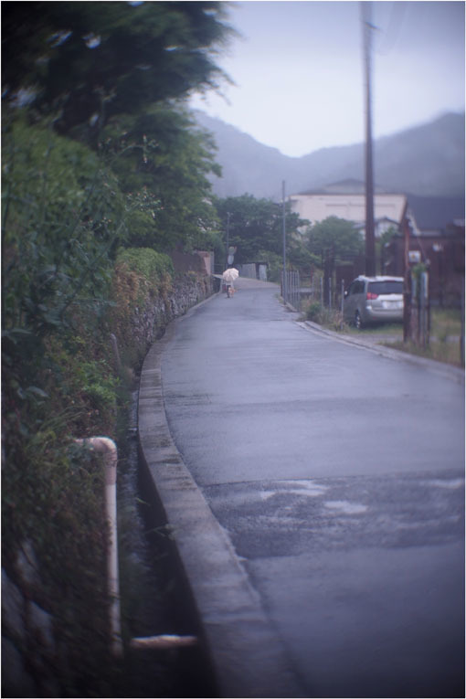 2206 幻惑(2020年5月16日スピードアナスティグマート25mmF1.5高畑町には慣れたものと嘯き)_b0226423_22573826.jpg