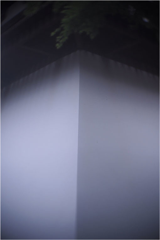 2206 幻惑(2020年5月16日スピードアナスティグマート25mmF1.5高畑町には慣れたものと嘯き)_b0226423_22584935.jpg