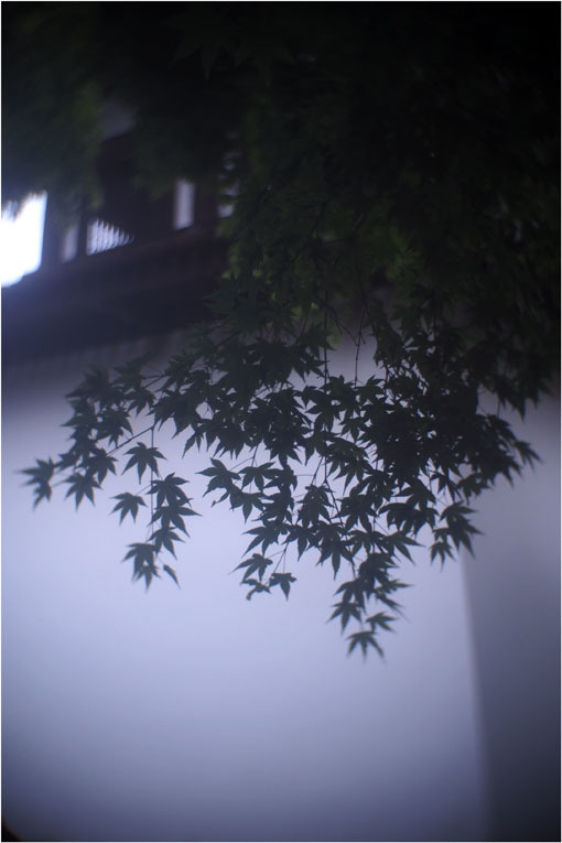 2206 幻惑(2020年5月16日スピードアナスティグマート25mmF1.5高畑町には慣れたものと嘯き)_b0226423_22585680.jpg