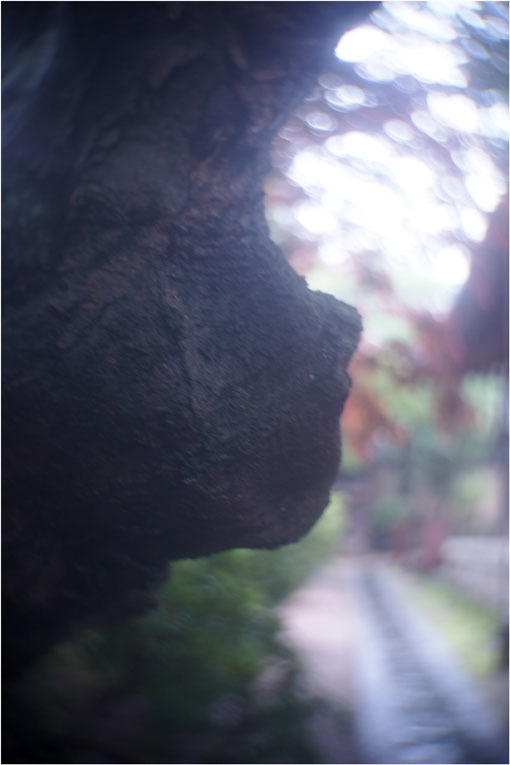 2206 幻惑(2020年5月16日スピードアナスティグマート25mmF1.5高畑町には慣れたものと嘯き)_b0226423_22592477.jpg