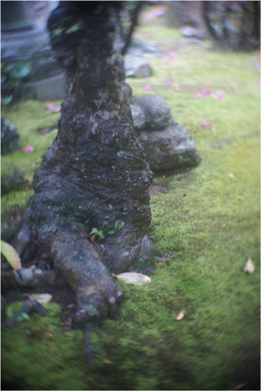 2206 幻惑(2020年5月16日スピードアナスティグマート25mmF1.5高畑町には慣れたものと嘯き)_b0226423_23005902.jpg