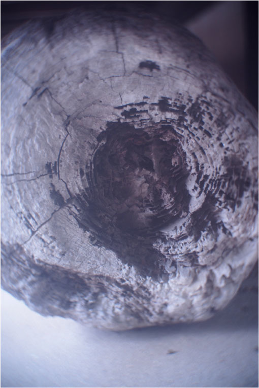 2206 幻惑(2020年5月16日スピードアナスティグマート25mmF1.5高畑町には慣れたものと嘯き)_b0226423_23013763.jpg